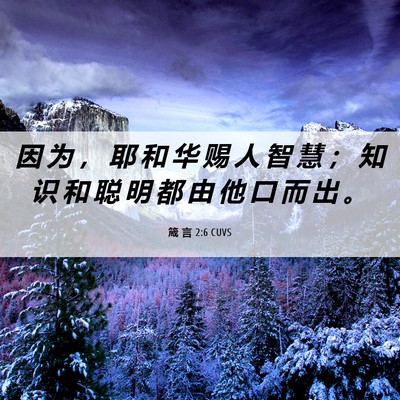 Picture 06 - 箴 言 2:6 CUVS - 因 为 ， 耶 和 华 赐 人 智 慧 ； 知 - Bible Verse Picture