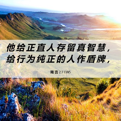 Picture 06 - 箴 言 2:7 CUVS - 他 给 正 直 人 存 留 真 智 慧 ， 给 - Bible Verse Picture