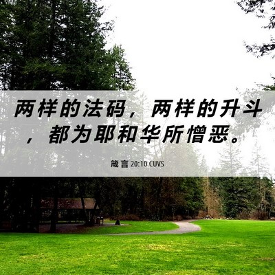 Picture 06 - 箴 言 20:10 CUVS - 两 样 的 法 码 ， 两 样 的 升 斗 ， - Bible Verse Picture
