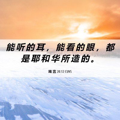 Picture 06 - 箴 言 20:12 CUVS - 能 听 的 耳 ， 能 看 的 眼 ， 都 是 - Bible Verse Picture