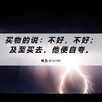 Picture 06 - 箴 言 20:14 CUVS - 买 物 的 说 ： 不 好 ， 不 好 ； 及 - Bible Verse Picture