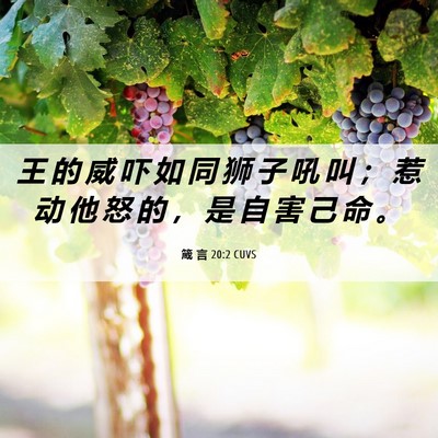 Picture 06 - 箴 言 20:2 CUVS - 王 的 威 吓 如 同 狮 子 吼 叫 ； 惹 - Bible Verse Picture