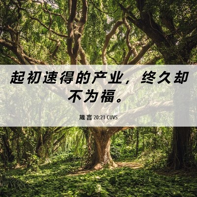 Picture 06 - 箴 言 20:21 CUVS - 起 初 速 得 的 产 业 ， 终 久 却 不 - Bible Verse Picture