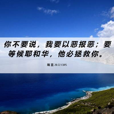 Picture 06 - 箴 言 20:22 CUVS - 你 不 要 说 ， 我 要 以 恶 报 恶 ； - Bible Verse Picture