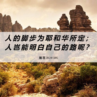 Picture 06 - 箴 言 20:24 CUVS - 人 的 脚 步 为 耶 和 华 所 定 ； 人 - Bible Verse Picture