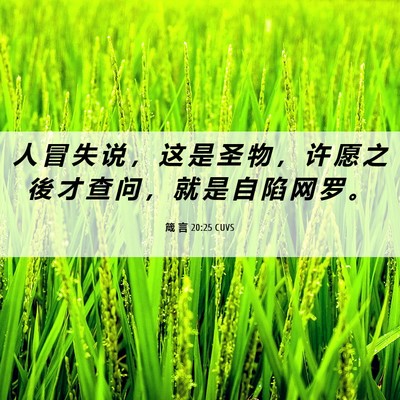 Picture 06 - 箴 言 20:25 CUVS - 人 冒 失 说 ， 这 是 圣 物 ， 许 愿 - Bible Verse Picture