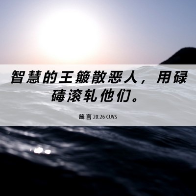 Picture 06 - 箴 言 20:26 CUVS - 智 慧 的 王 簸 散 恶 人 ， 用 碌 碡 - Bible Verse Picture