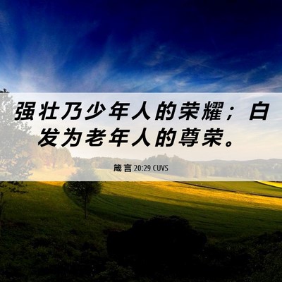 Picture 06 - 箴 言 20:29 CUVS - 强 壮 乃 少 年 人 的 荣 耀 ； 白 发 - Bible Verse Picture