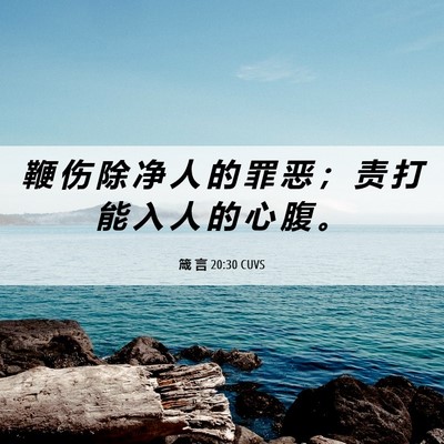 Picture 06 - 箴 言 20:30 CUVS - 鞭 伤 除 净 人 的 罪 恶 ； 责 打 能 - Bible Verse Picture
