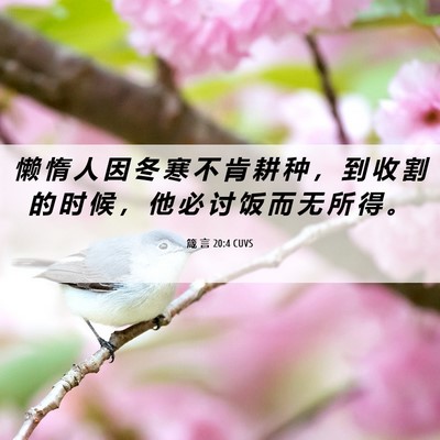 Picture 06 - 箴 言 20:4 CUVS - 懒 惰 人 因 冬 寒 不 肯 耕 种 ， 到 - Bible Verse Picture