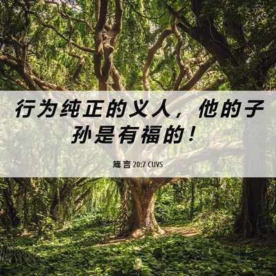 Picture 06 - 箴 言 20:7 CUVS - 行 为 纯 正 的 义 人 ， 他 的 子 孙 - Bible Verse Picture