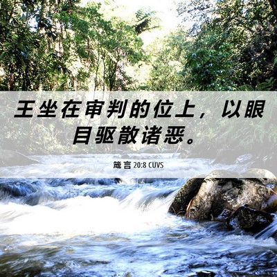 Picture 06 - 箴 言 20:8 CUVS - 王 坐 在 审 判 的 位 上 ， 以 眼 目 - Bible Verse Picture