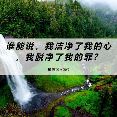 Picture 06 - 箴 言 20:9 CUVS - 谁 能 说 ， 我 洁 净 了 我 的 心 ， - Bible Verse Picture