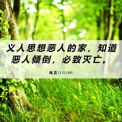 Picture 06 - 箴 言 21:12 CUVS - 义 人 思 想 恶 人 的 家 ， 知 道 恶 - Bible Verse Picture