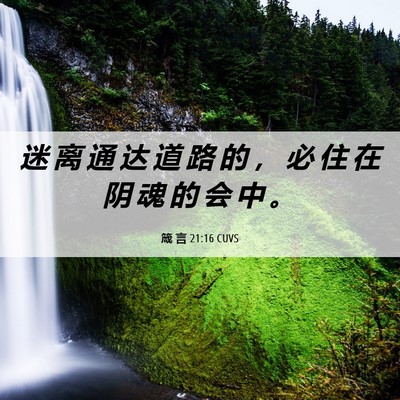 Picture 06 - 箴 言 21:16 CUVS - 迷 离 通 达 道 路 的 ， 必 住 在 阴 - Bible Verse Picture