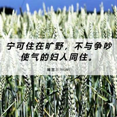 Picture 06 - 箴 言 21:19 CUVS - 宁 可 住 在 旷 野 ， 不 与 争 吵 使 - Bible Verse Picture