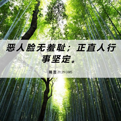 Picture 06 - 箴 言 21:29 CUVS - 恶 人 脸 无 羞 耻 ； 正 直 人 行 事 - Bible Verse Picture