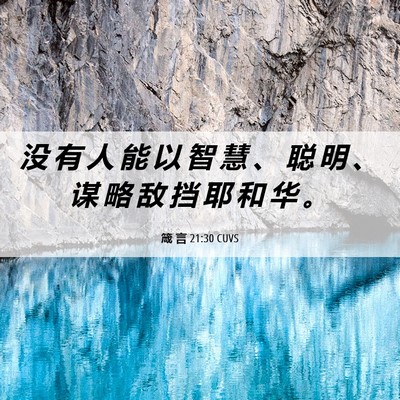Picture 06 - 箴 言 21:30 CUVS - 没 有 人 能 以 智 慧 、 聪 明 、 谋 - Bible Verse Picture
