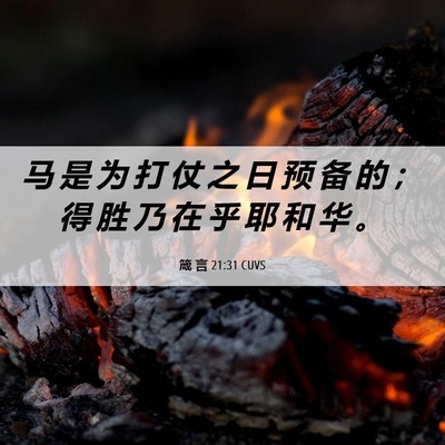 Picture 06 - 箴 言 21:31 CUVS - 马 是 为 打 仗 之 日 预 备 的 ； 得 - Bible Verse Picture