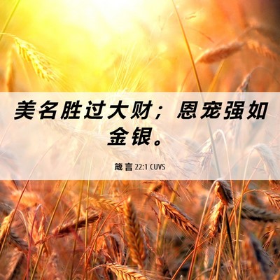 Picture 06 - 箴 言 22:1 CUVS - 美 名 胜 过 大 财 ； 恩 宠 强 如 金 - Bible Verse Picture