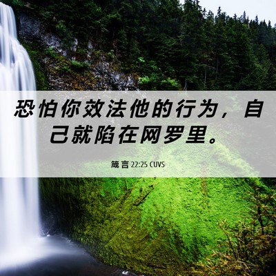 Picture 06 - 箴 言 22:25 CUVS - 恐 怕 你 效 法 他 的 行 为 ， 自 己 - Bible Verse Picture