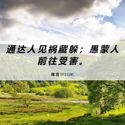 Picture 06 - 箴 言 22:3 CUVS - 通 达 人 见 祸 藏 躲 ； 愚 蒙 人 前 - Bible Verse Picture