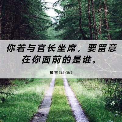 Picture 06 - 箴 言 23:1 CUVS - 你 若 与 官 长 坐 席 ， 要 留 意 在 - Bible Verse Picture
