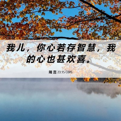 Picture 06 - 箴 言 23:15 CUVS - 我 儿 ， 你 心 若 存 智 慧 ， 我 的 - Bible Verse Picture
