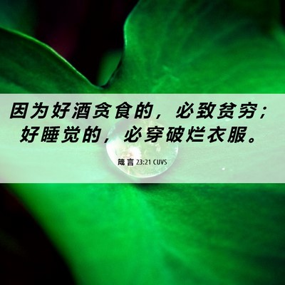 Picture 06 - 箴 言 23:21 CUVS - 因 为 好 酒 贪 食 的 ， 必 致 贫 穷 - Bible Verse Picture