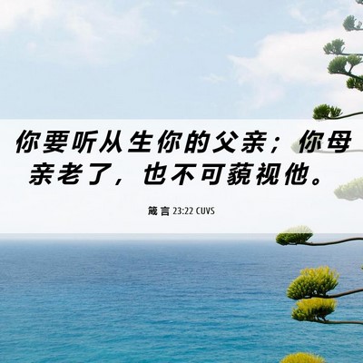 Picture 06 - 箴 言 23:22 CUVS - 你 要 听 从 生 你 的 父 亲 ； 你 母 - Bible Verse Picture