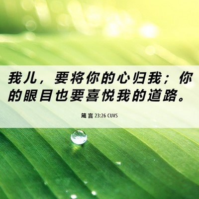 Picture 06 - 箴 言 23:26 CUVS - 我 儿 ， 要 将 你 的 心 归 我 ； 你 - Bible Verse Picture
