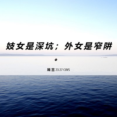 Picture 06 - 箴 言 23:27 CUVS - 妓 女 是 深 坑 ； 外 女 是 窄 阱 - Bible Verse Picture