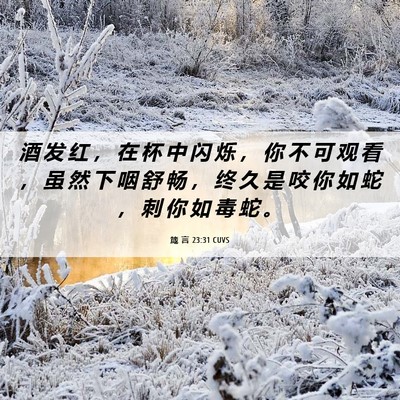 Picture 06 - 箴 言 23:31 CUVS - 酒 发 红 ， 在 杯 中 闪 烁 ， 你 不 - Bible Verse Picture