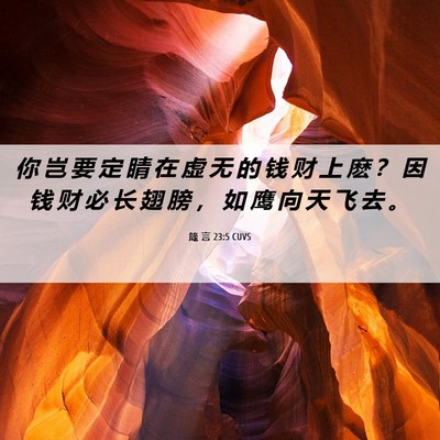 Picture 06 - 箴 言 23:5 CUVS - 你 岂 要 定 睛 在 虚 无 的 钱 财 上 - Bible Verse Picture