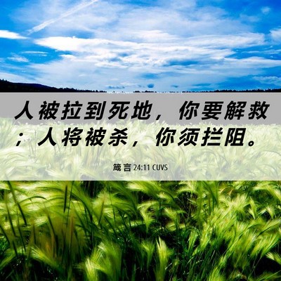 Picture 06 - 箴 言 24:11 CUVS - 人 被 拉 到 死 地 ， 你 要 解 救 ； - Bible Verse Picture