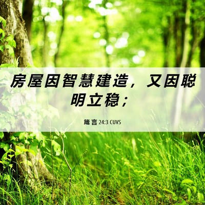 Picture 06 - 箴 言 24:3 CUVS - 房 屋 因 智 慧 建 造 ， 又 因 聪 明 - Bible Verse Picture