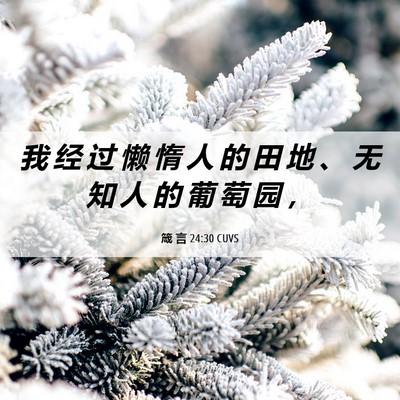 Picture 06 - 箴 言 24:30 CUVS - 我 经 过 懒 惰 人 的 田 地 、 无 知 - Bible Verse Picture