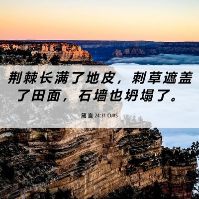 Picture 06 - 箴 言 24:31 CUVS - 荆 棘 长 满 了 地 皮 ， 刺 草 遮 盖 - Bible Verse Picture