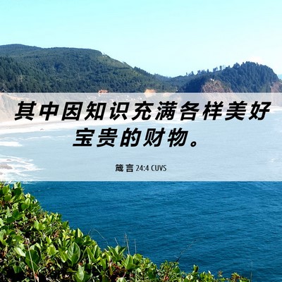 Picture 06 - 箴 言 24:4 CUVS - 其 中 因 知 识 充 满 各 样 美 好 宝 - Bible Verse Picture