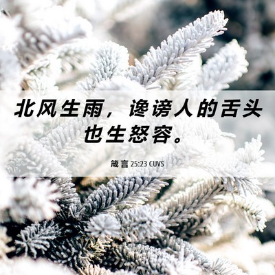 Picture 06 - 箴 言 25:23 CUVS - 北 风 生 雨 ， 谗 谤 人 的 舌 头 也 - Bible Verse Picture