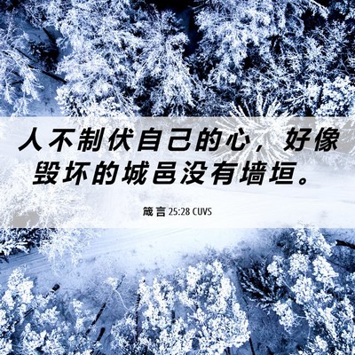 Picture 06 - 箴 言 25:28 CUVS - 人 不 制 伏 自 己 的 心 ， 好 像 毁 - Bible Verse Picture