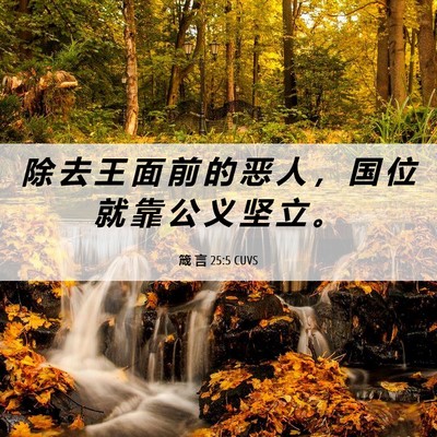 Picture 06 - 箴 言 25:5 CUVS - 除 去 王 面 前 的 恶 人 ， 国 位 就 - Bible Verse Picture