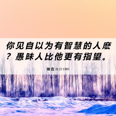 Picture 06 - 箴 言 26:12 CUVS - 你 见 自 以 为 有 智 慧 的 人 麽 ？ - Bible Verse Picture