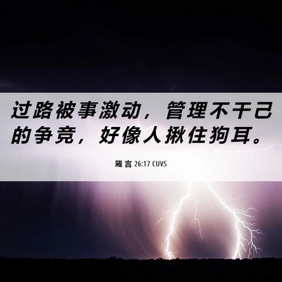 Picture 06 - 箴 言 26:17 CUVS - 过 路 被 事 激 动 ， 管 理 不 干 己 - Bible Verse Picture