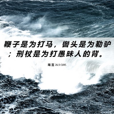 Picture 06 - 箴 言 26:3 CUVS - 鞭 子 是 为 打 马 ， 辔 头 是 为 勒 - Bible Verse Picture