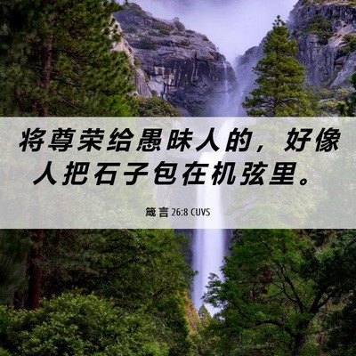 Picture 06 - 箴 言 26:8 CUVS - 将 尊 荣 给 愚 昧 人 的 ， 好 像 人 - Bible Verse Picture