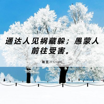 Picture 06 - 箴 言 27:12 CUVS - 通 达 人 见 祸 藏 躲 ； 愚 蒙 人 前 - Bible Verse Picture