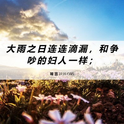 Picture 06 - 箴 言 27:15 CUVS - 大 雨 之 日 连 连 滴 漏 ， 和 争 吵 - Bible Verse Picture
