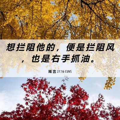 Picture 06 - 箴 言 27:16 CUVS - 想 拦 阻 他 的 ， 便 是 拦 阻 风 ， - Bible Verse Picture