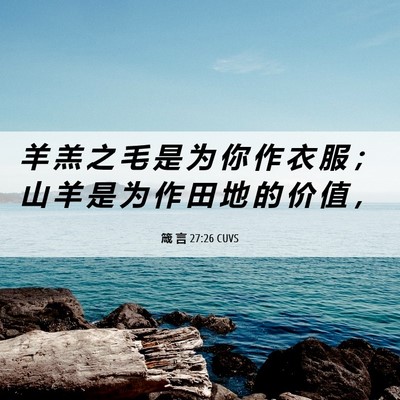 Picture 06 - 箴 言 27:26 CUVS - 羊 羔 之 毛 是 为 你 作 衣 服 ； 山 - Bible Verse Picture